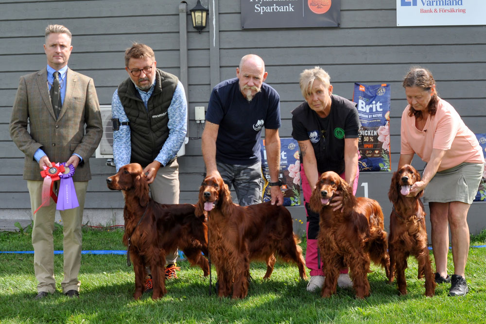 BÄSTA UPPFÖDARGRUPP IRS KENNEL LAIZA'S 